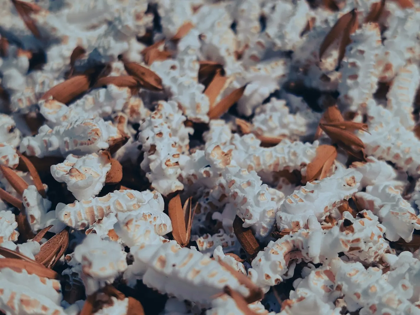 Pop-corn chocolat, noisettes et coco