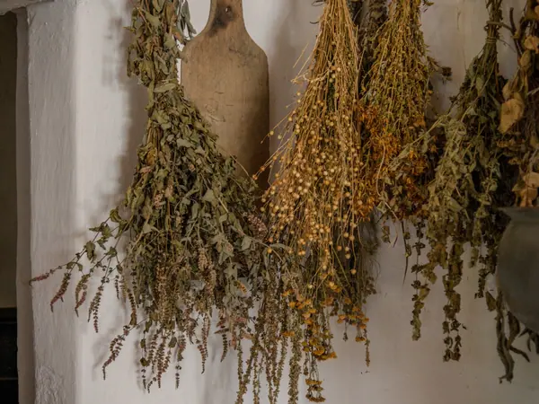 Perasa Herba Itali