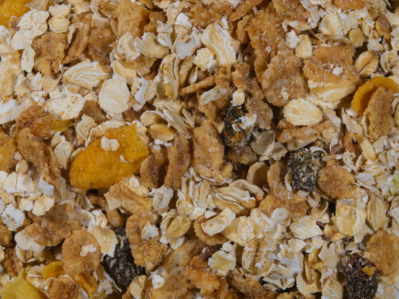Muesli tostado com mel